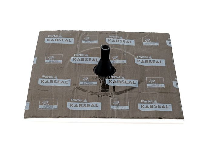 KABSEAL GAS